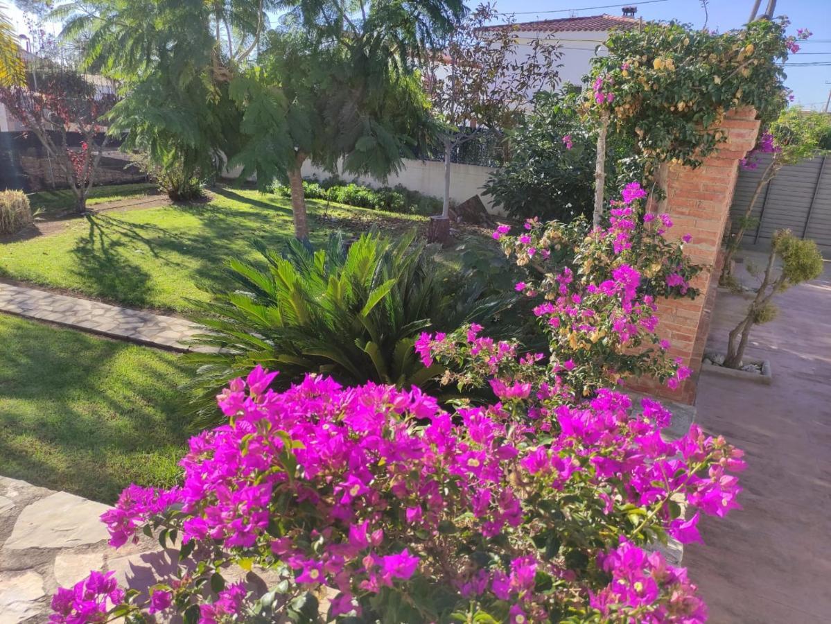 Villa Parets De Sucre Les Cases d'Alcanar Εξωτερικό φωτογραφία
